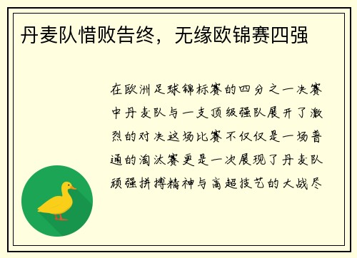 丹麦队惜败告终，无缘欧锦赛四强