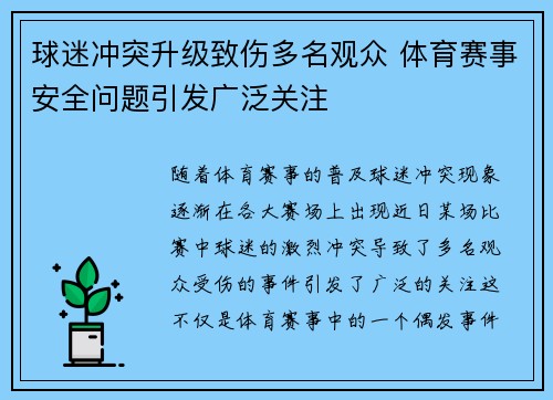 球迷冲突升级致伤多名观众 体育赛事安全问题引发广泛关注